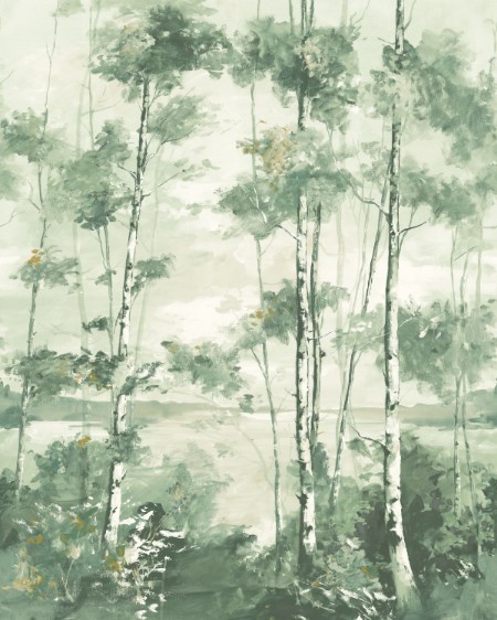 Image de Foret Boreale - 89567805