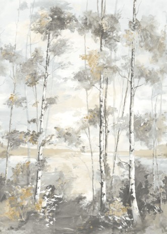 Image de Foret Boreale - 89569203
