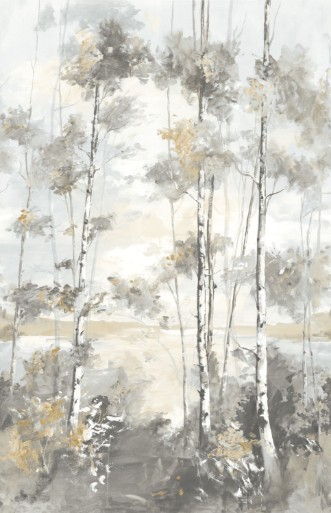 Image de Foret Boreale - 89569204