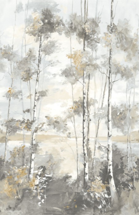 Image de Foret Boreale - 89569204