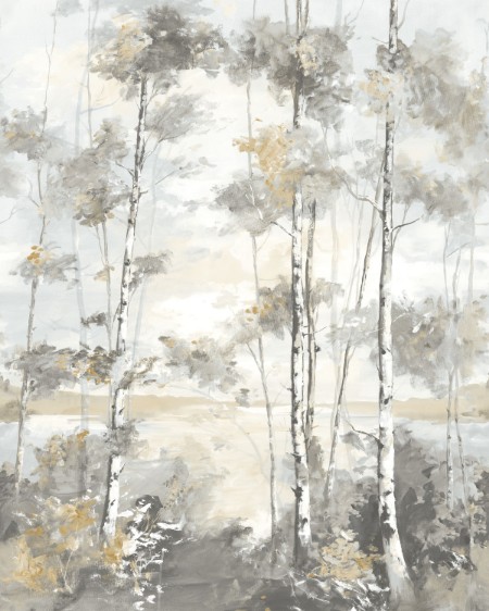 Image de Foret Boreale - 89569205