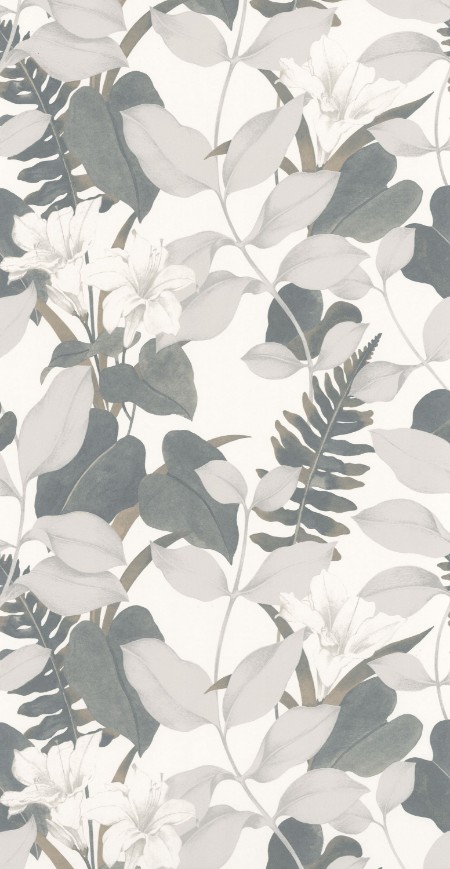 Image de Royal Lily - 200266666