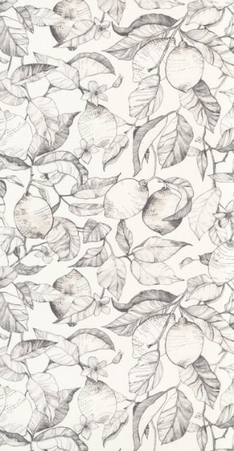 Picture of Lemon Tree - 200270900
