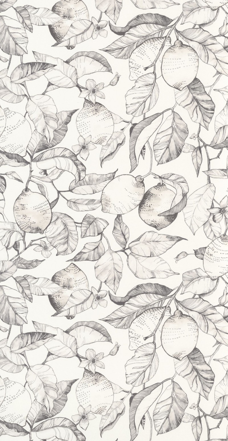 Image de Lemon Tree - 200270900