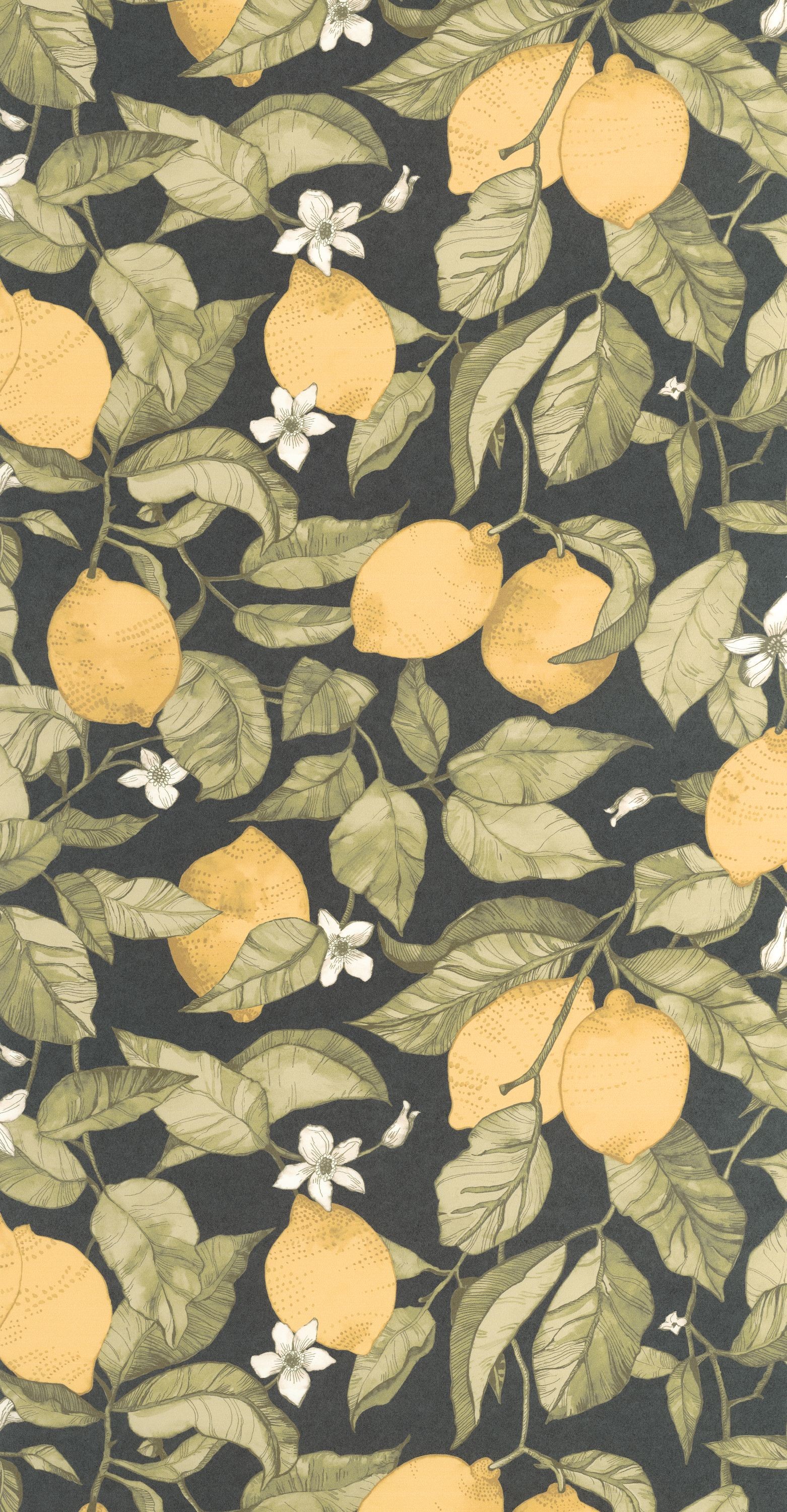 Afbeeldingen van Lemon Tree - 200272727