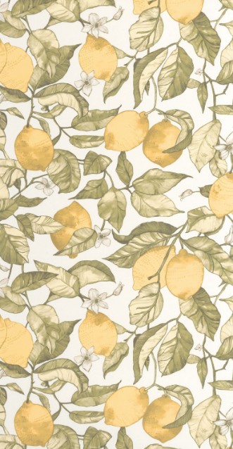 Picture of Lemon Tree - 200277227