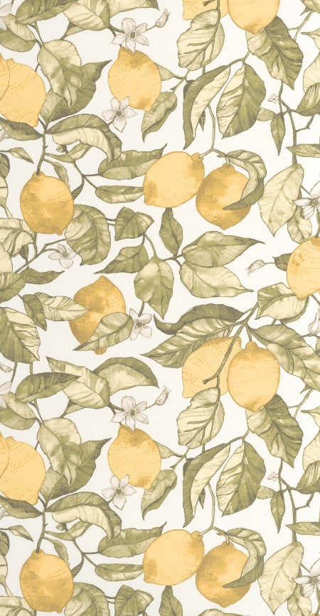 Image de Lemon Tree - 200277227