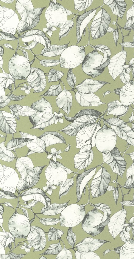 Image de Lemon Tree - 200277313