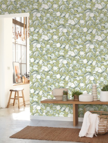 Image de Lemon Tree - 200277313