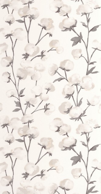 Imagen de Cotton Flower - 200290909