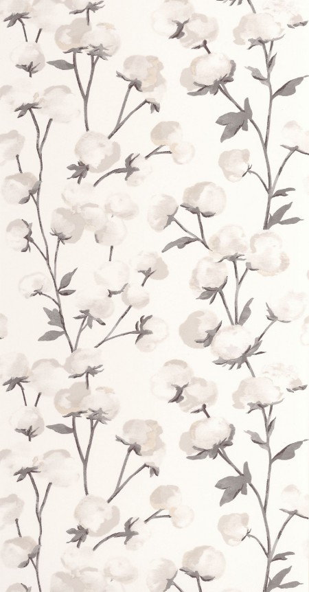 Image de Cotton Flower - 200290909