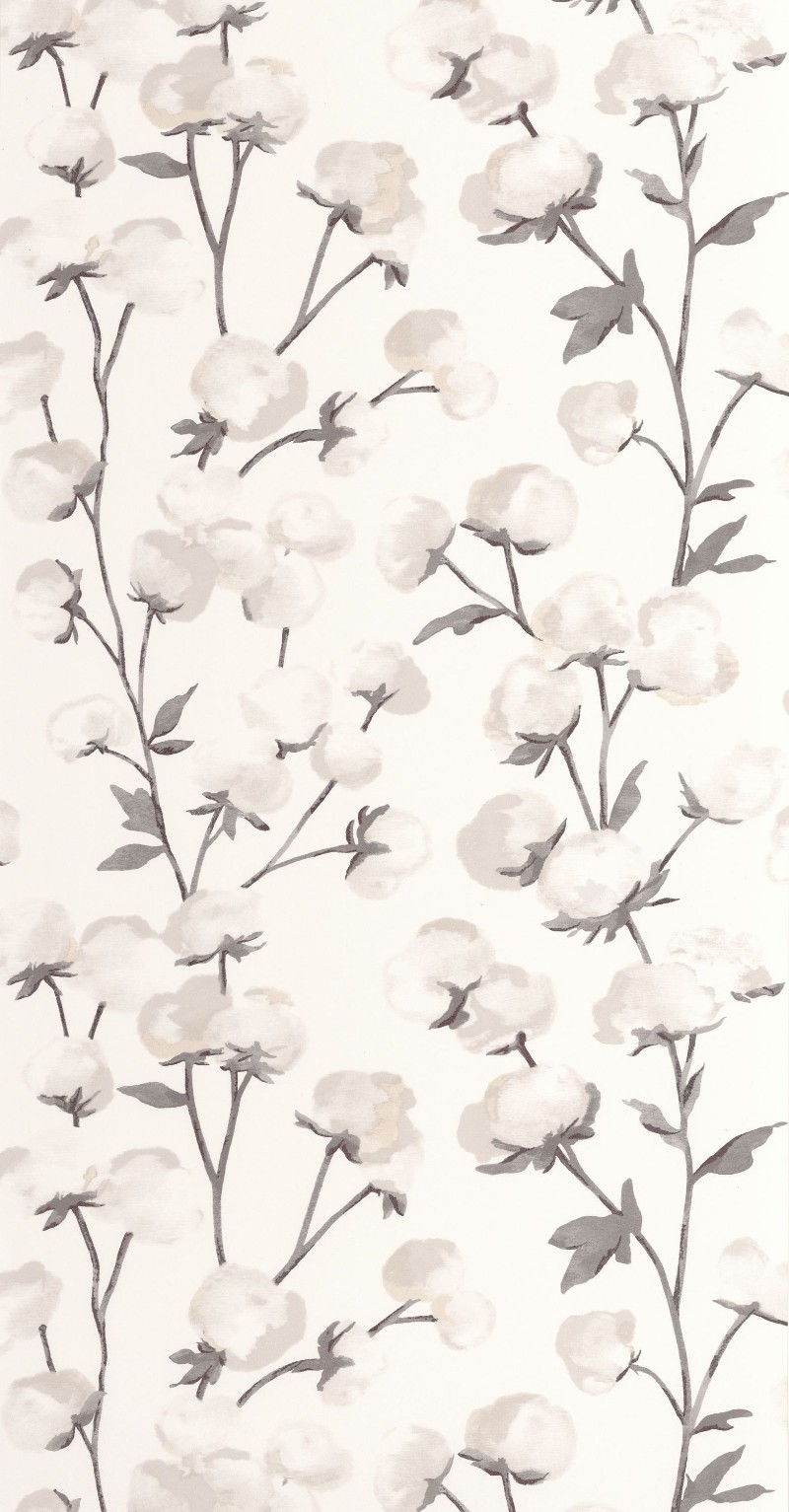 Poza cu Cotton Flower - 200290909