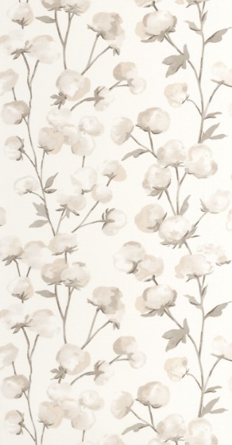 Imagen de Cotton Flower - 200291111