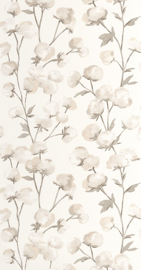 Image de Cotton Flower - 200291111