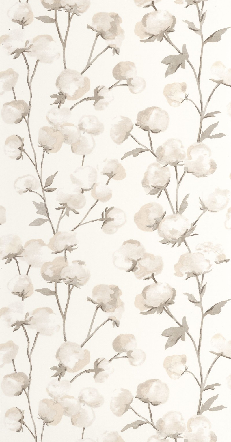 Afbeeldingen van Cotton Flower - 200291111