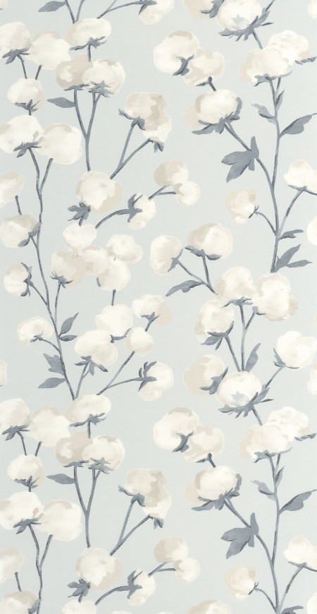 Image de Cotton Flower - 200296226