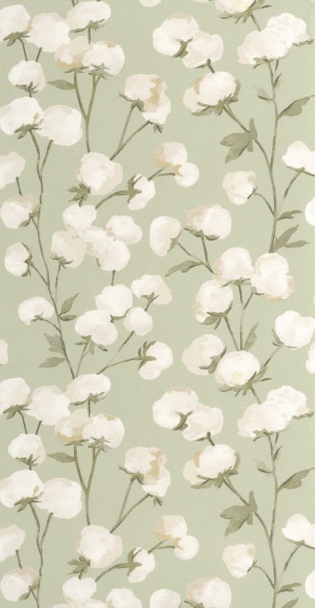 Image de Cotton Flower - 200297202