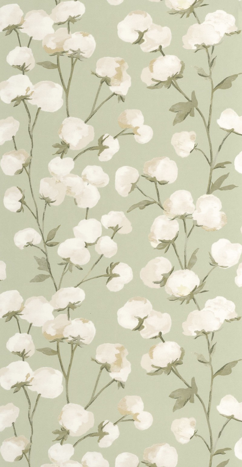 Poza cu Cotton Flower - 200297202