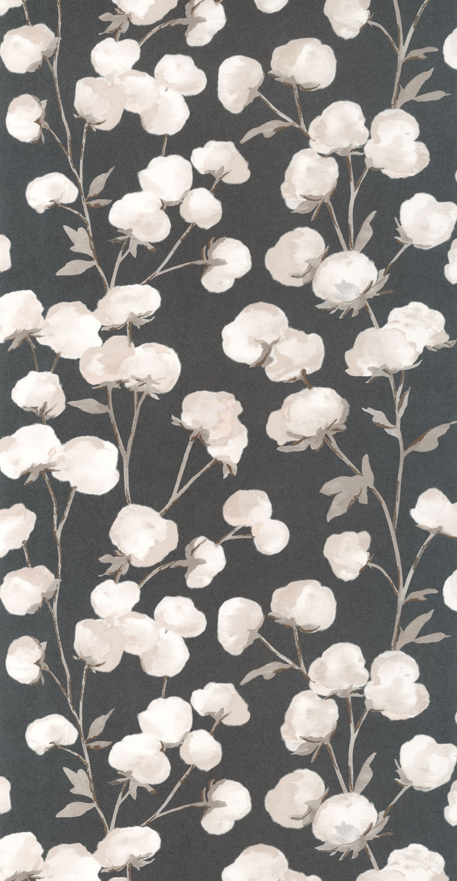 Bild von Cotton Flower - 200299515
