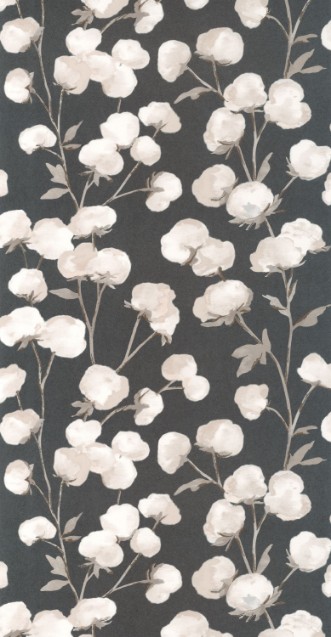 Cotton Flower - 200299515 paveikslėlis