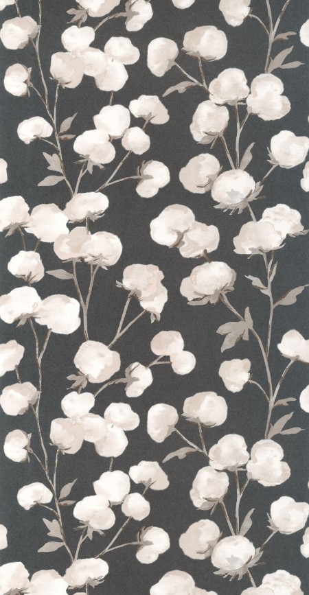 Image de Cotton Flower - 200299515