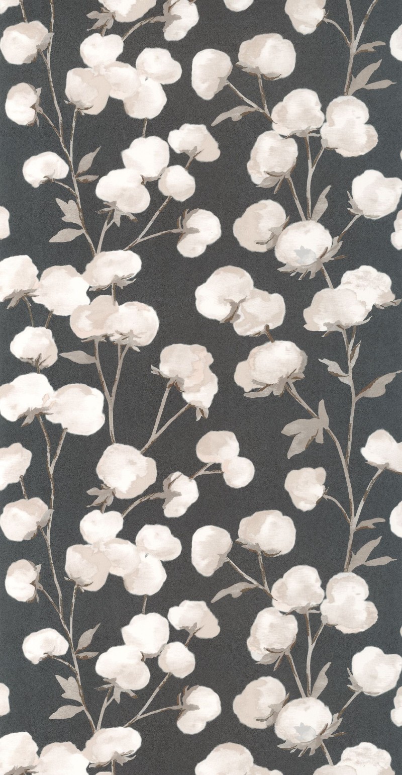 Poza cu Cotton Flower - 200299515