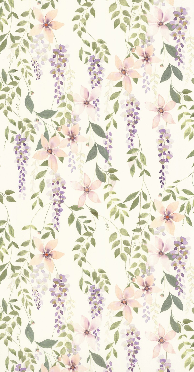 Afbeeldingen van Wisteria - 200305665