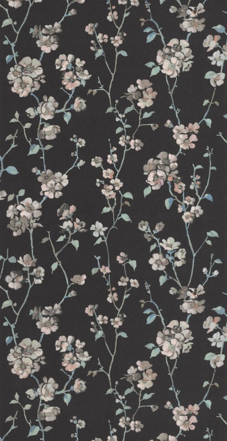 Image de Apple Blossom - 200329505