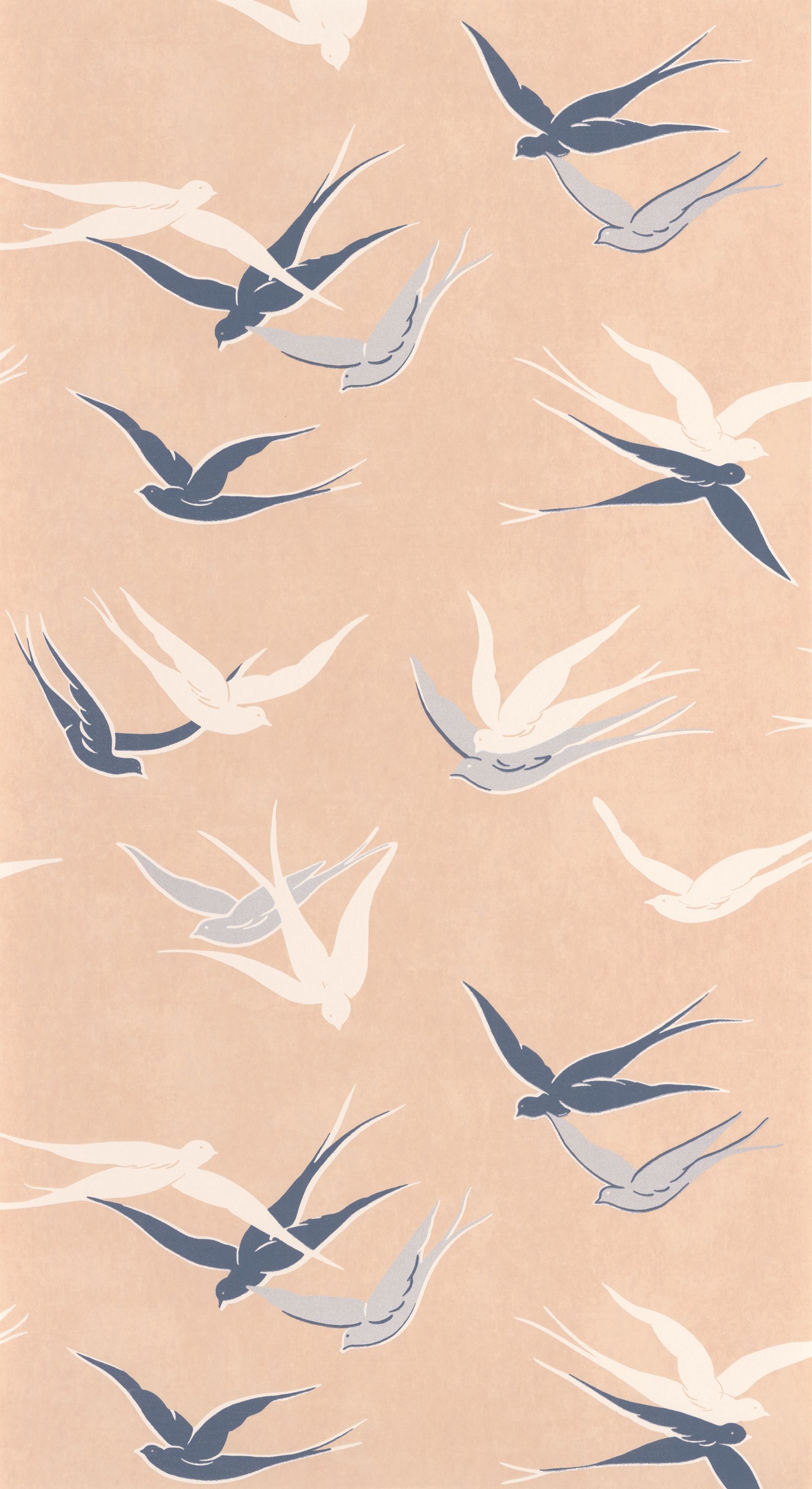 Image de Swallow - 88634101