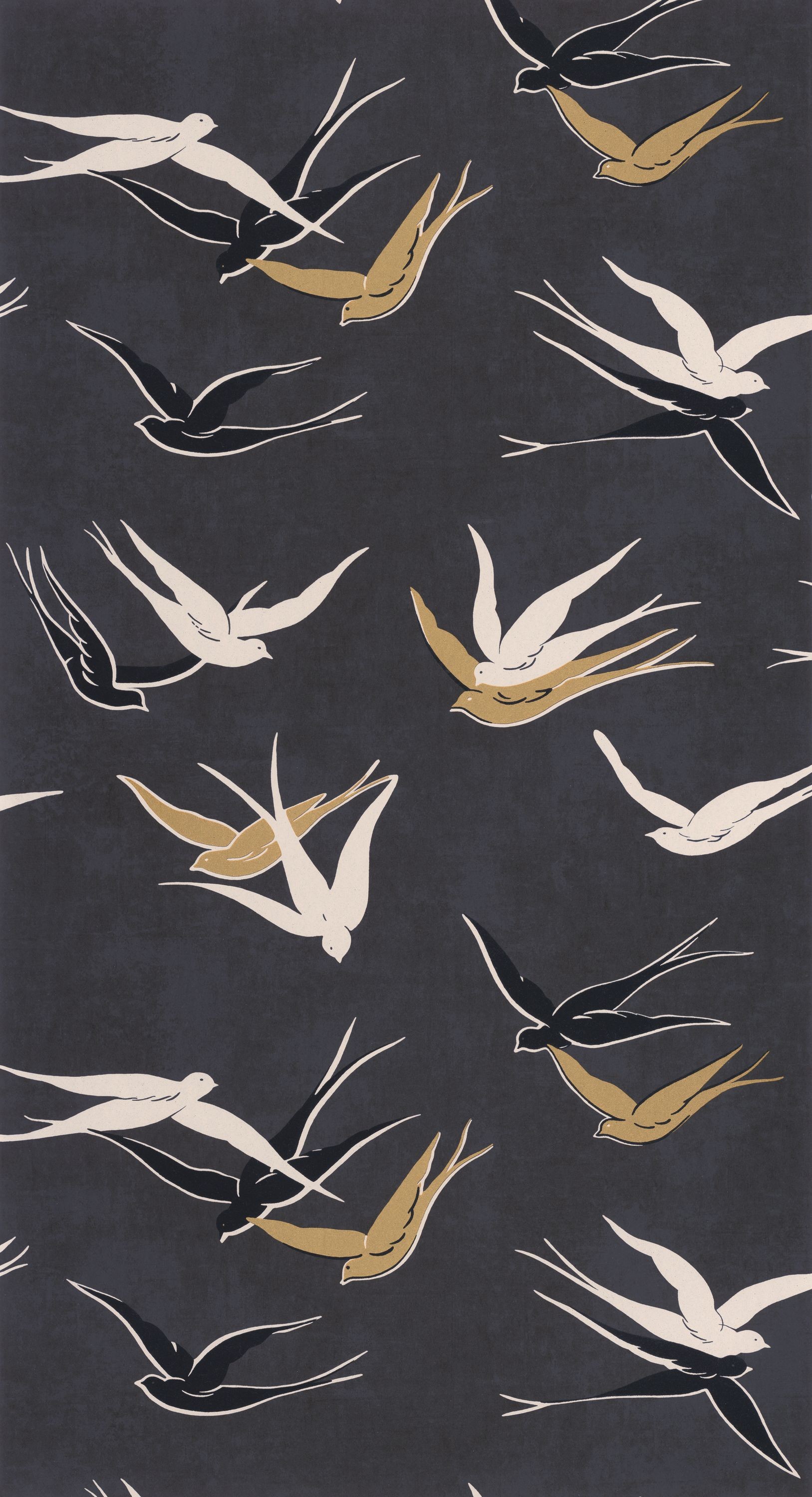 Image de Swallow - 88639595