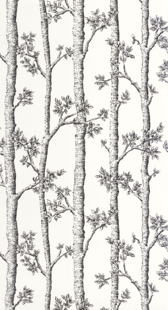 Bild von Automne - 106120000