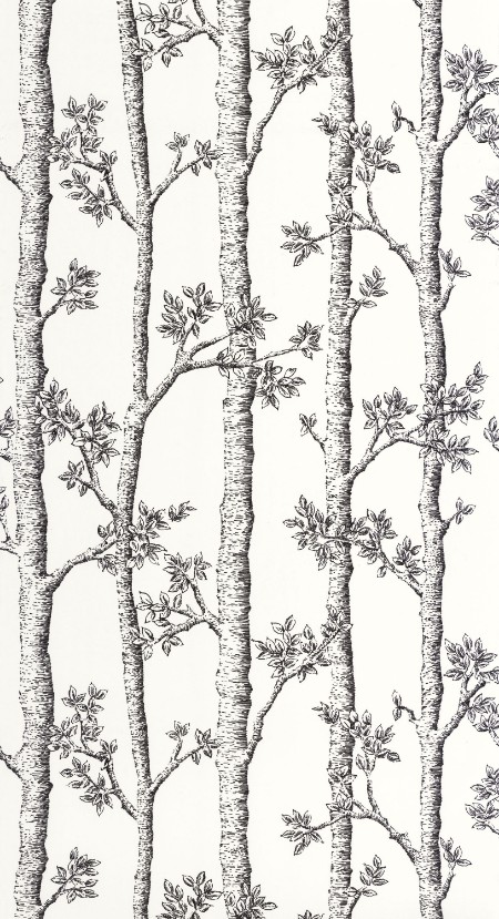 Image de Automne - 106120000