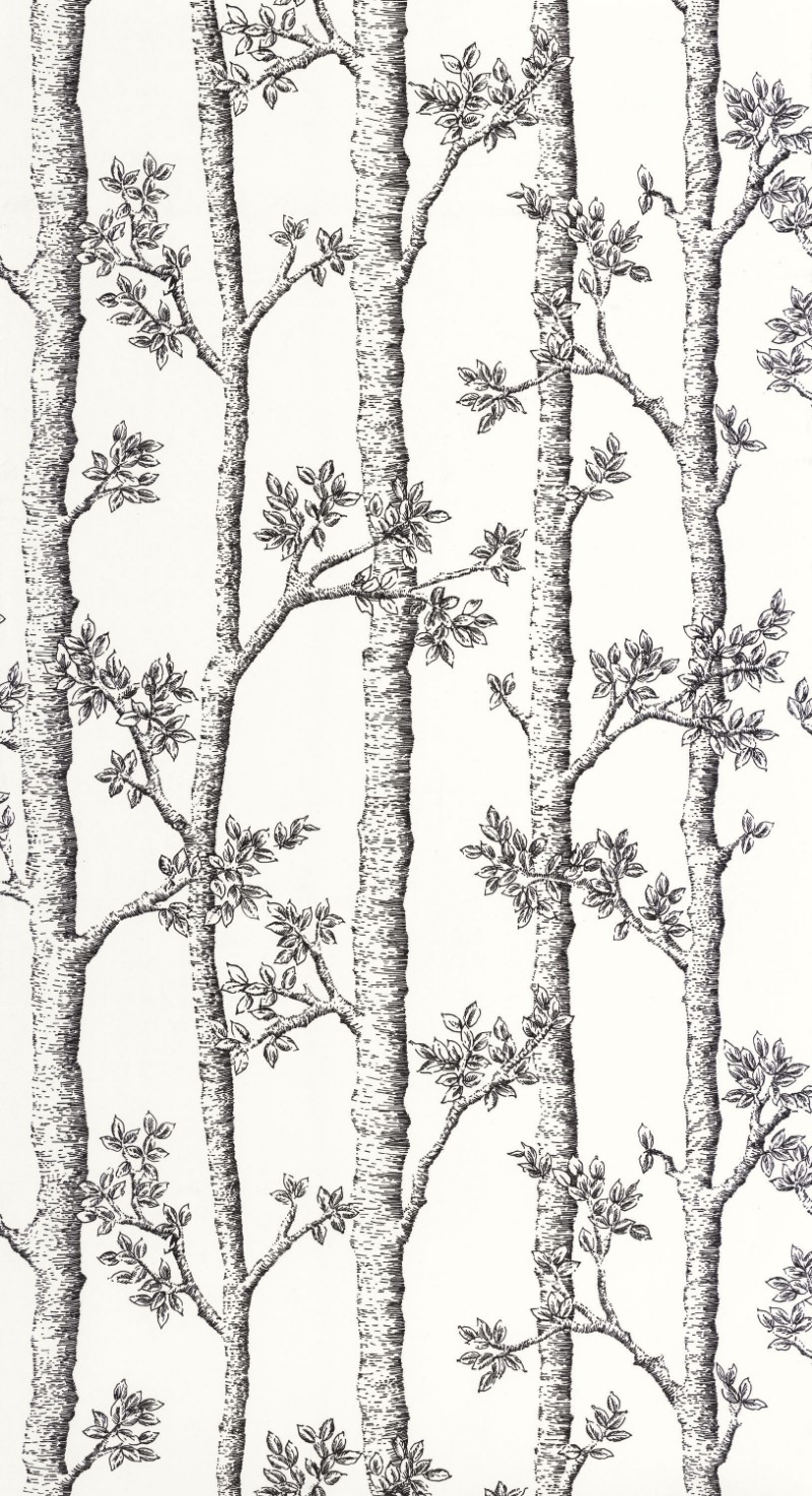 Afbeeldingen van Automne - 106120000