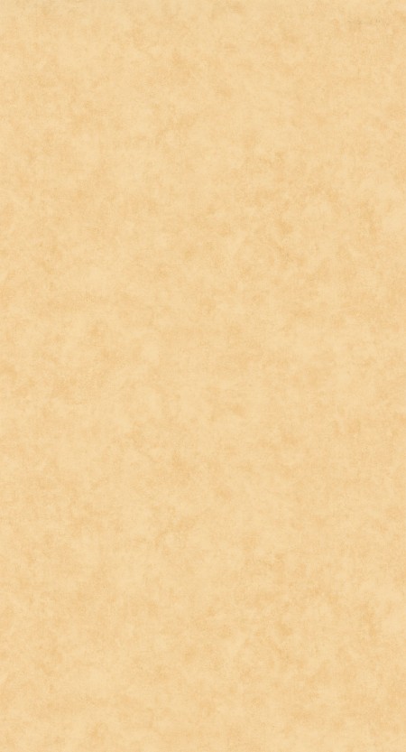 Image de Beton Uni - 101481515