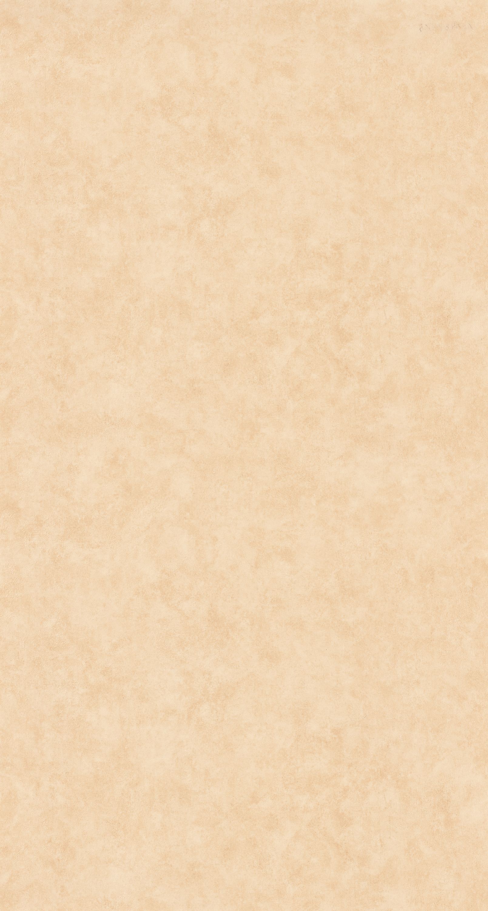 Picture of Beton Uni - 101481674