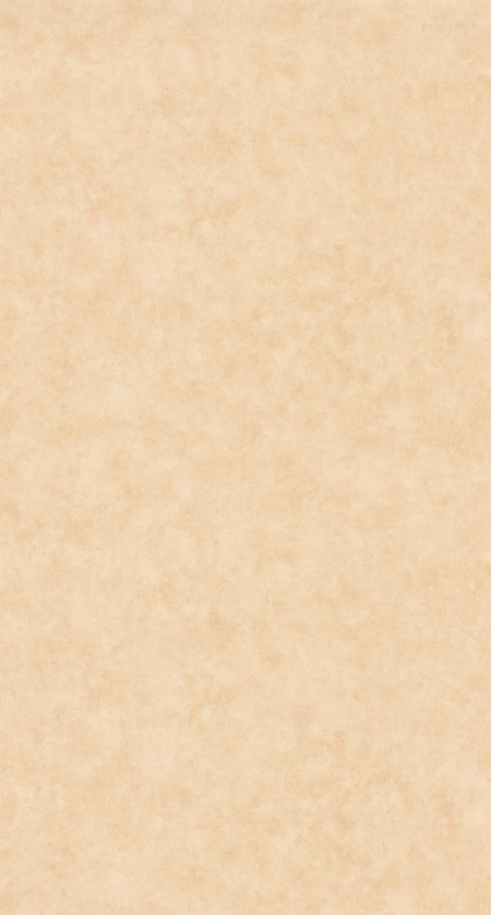 Image de Beton Uni - 101481674