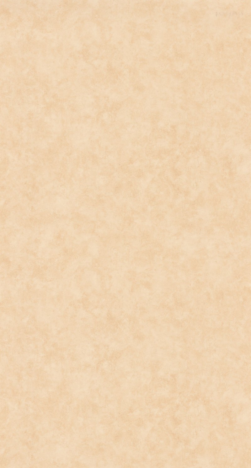 Picture of Beton Uni - 101481674