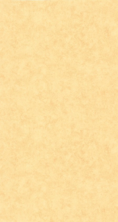 Image de Beton Uni - 101482200