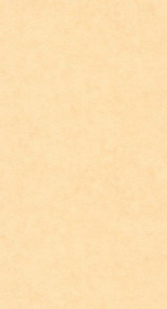 Obrázek Beton Uni - 101483100