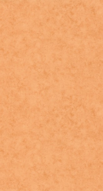 Afbeeldingen van Beton Uni - 101483312
