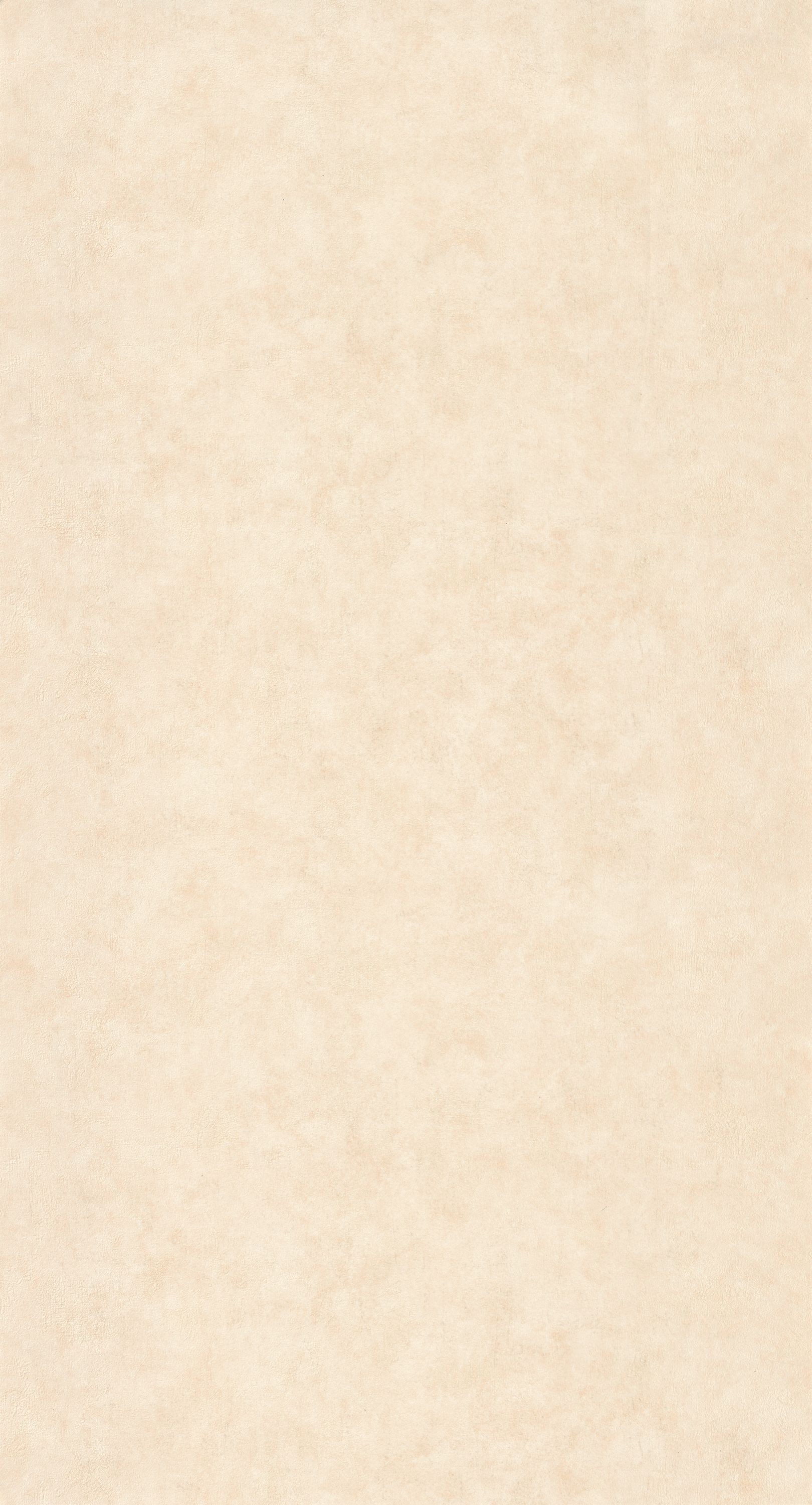 Bild von Beton Uni - 101491460