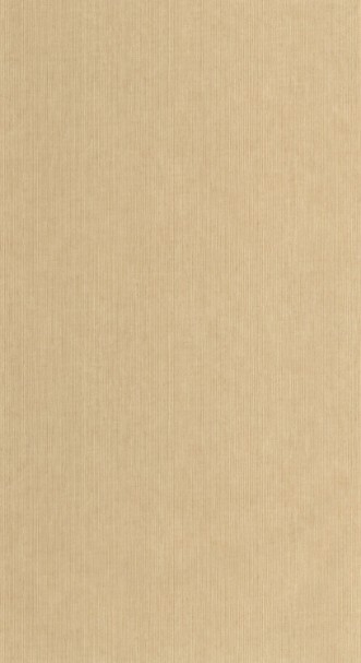Obrázek Sisal - 106011370