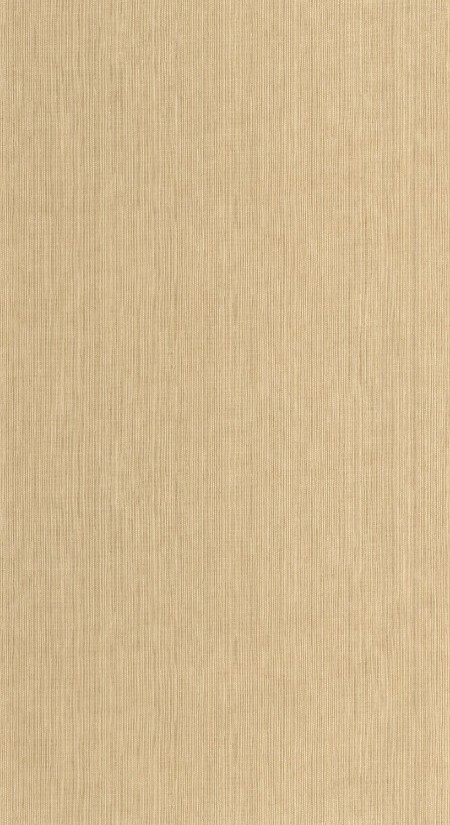 Attēls Sisal - 106011370