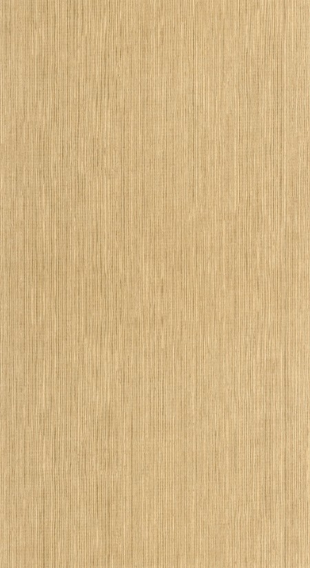 Attēls Sisal - 106011403