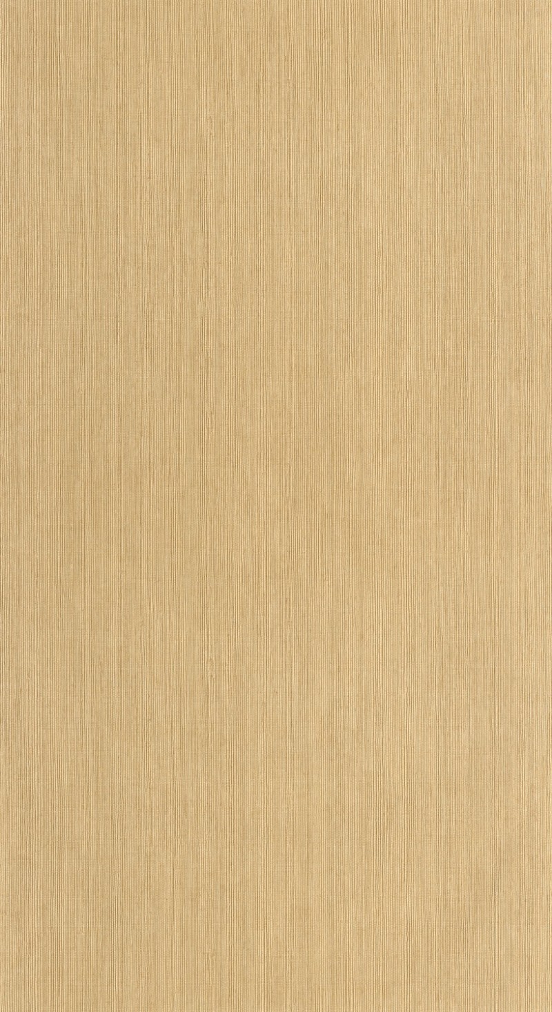 Afbeeldingen van Sisal - 106011403