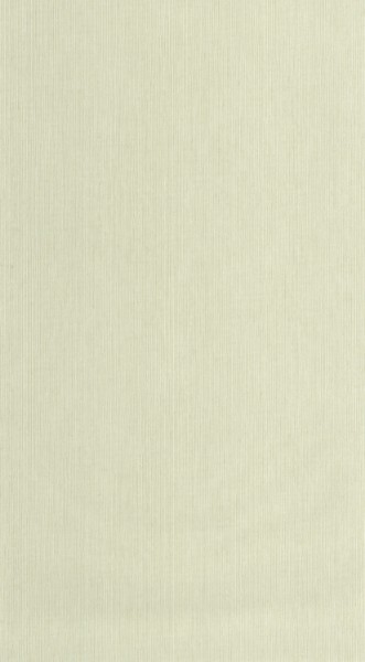 Attēls Sisal - 106017300