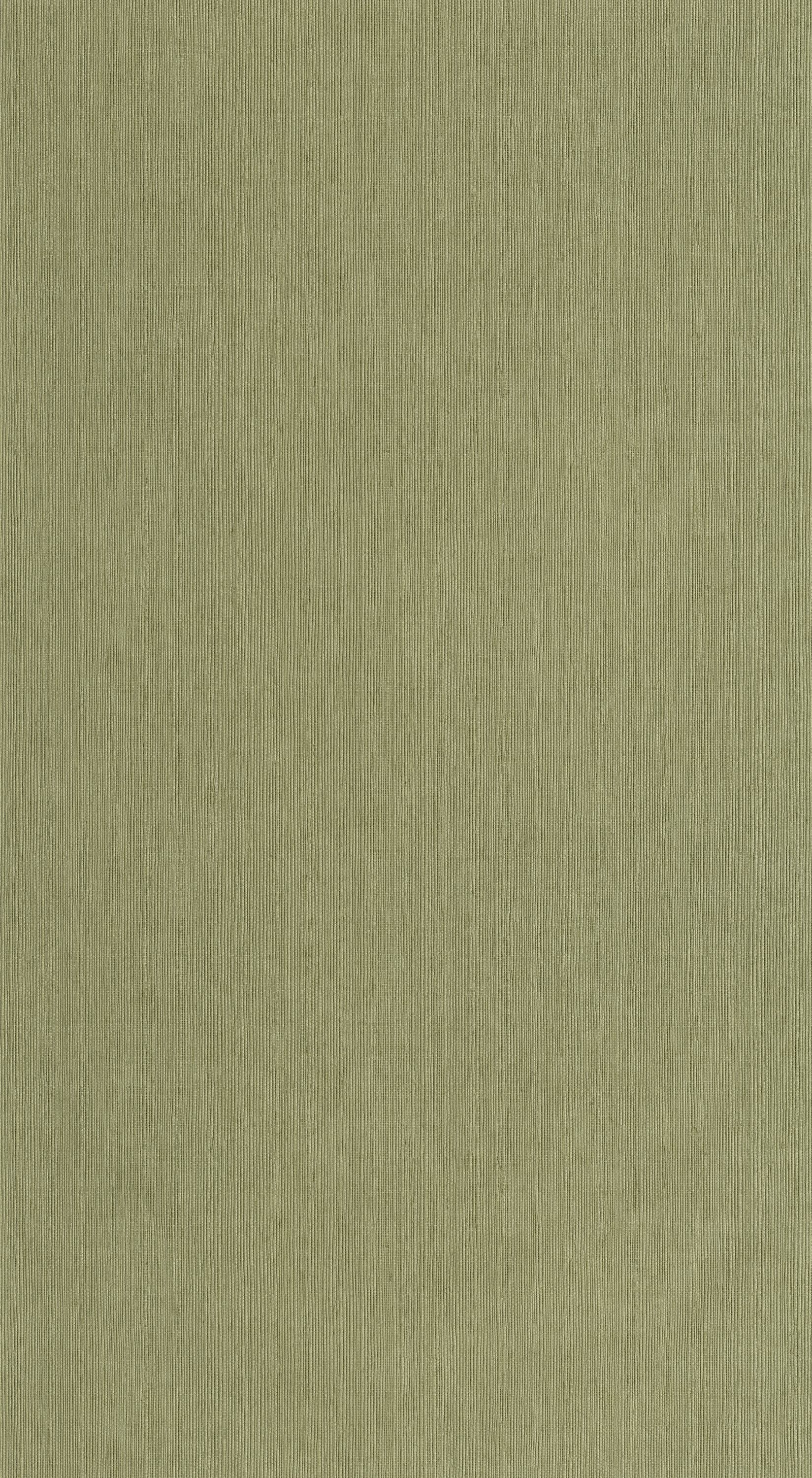 Bild på Sisal - 106017450