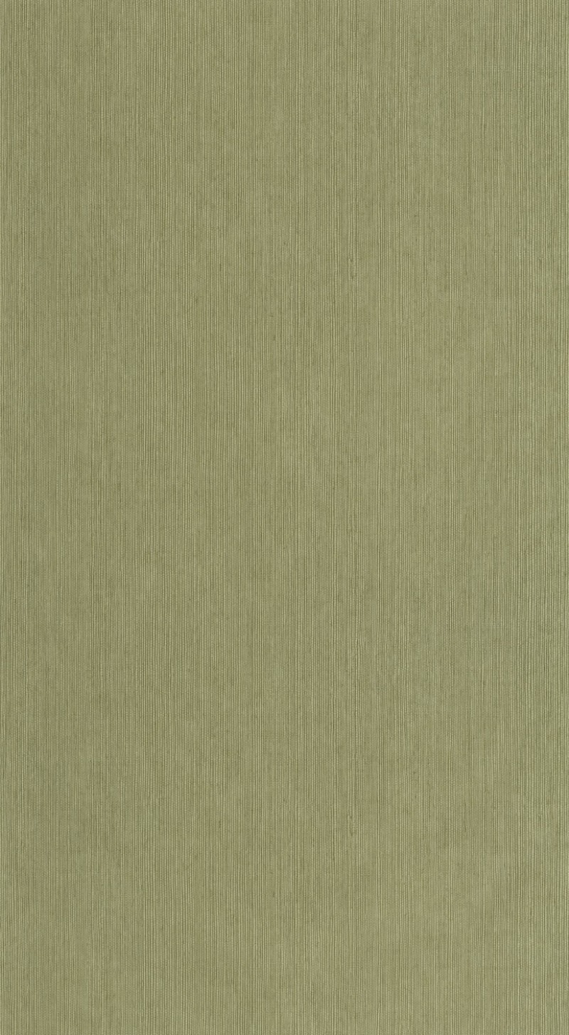 Afbeeldingen van Sisal - 106017450