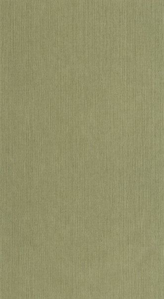 Attēls Sisal - 106017450