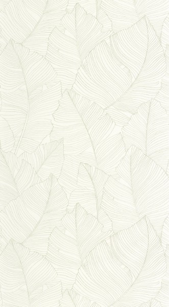 Image de Vegetalia - 106507050